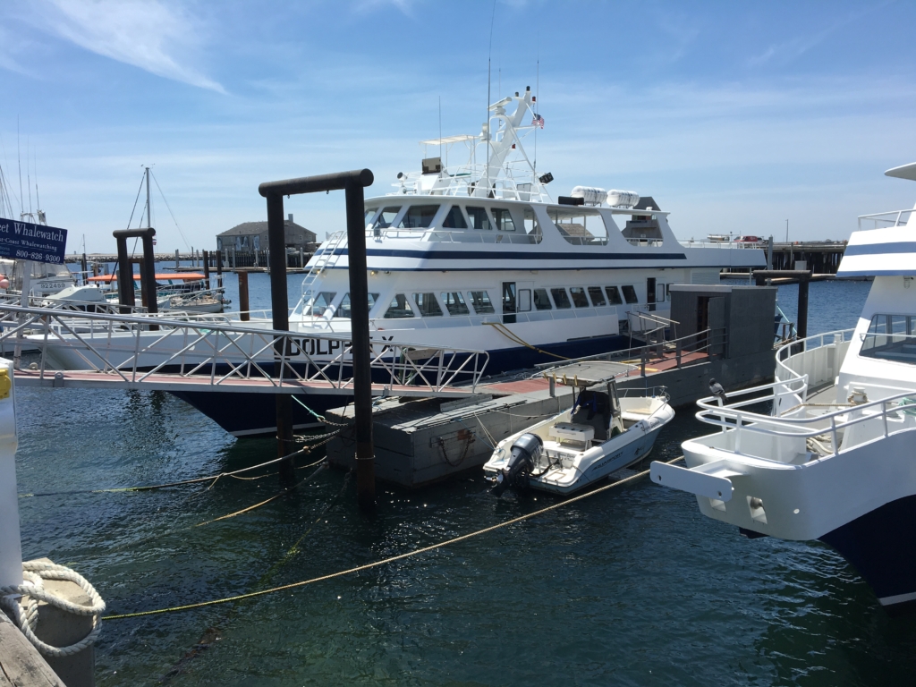 barco Dolphin X en Provincetown Cape Cod Massachussets