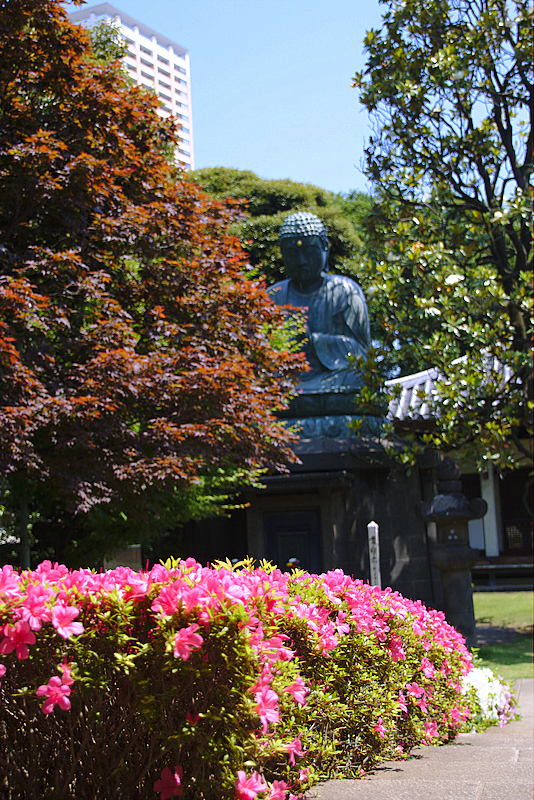jardín en el cementerio del barrio de Yanaka en Tokio