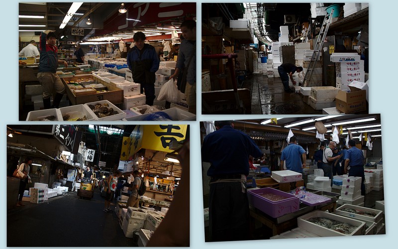 mercado de pescado de Tsukiji en Tokio
