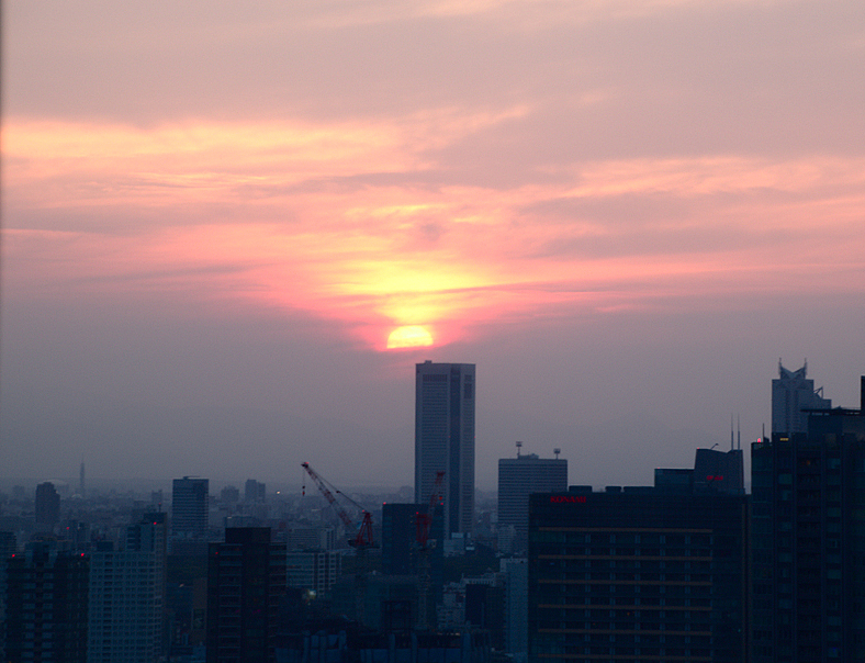 vistas de Tokio desde la Tokyo Tower1