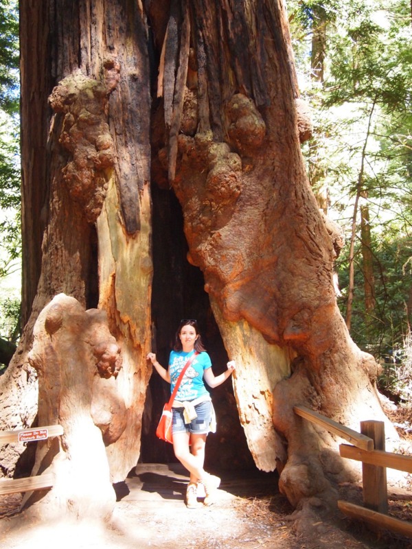 Lidia bajo una sequoia del Monumento Nacional de Muir Woods