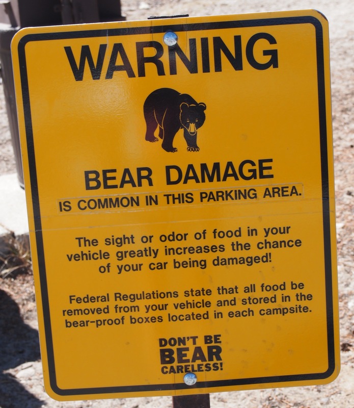 aviso de los rangers de Yosemite sobre los osos