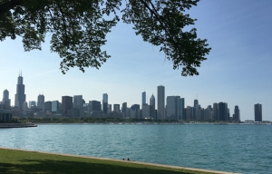 CHICAGO Y COSTA ESTE EN 21 DÍAS - Torre Willis y museos