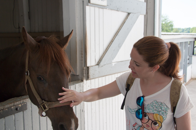 Lidia con un caballo en The Amish Village en el Condado de Lancaster Pensilvania