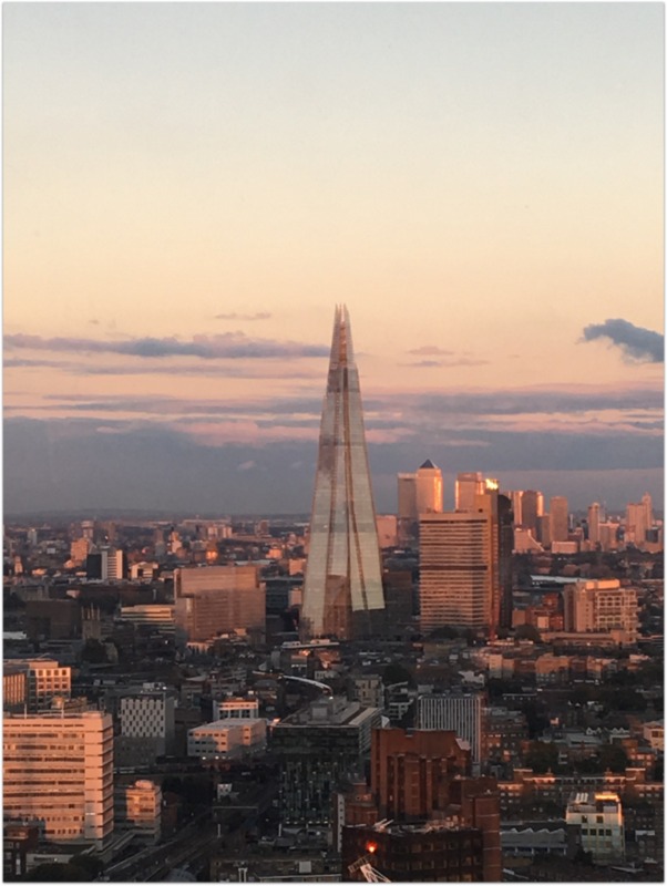 vistas de Londres desde el London Eye 1