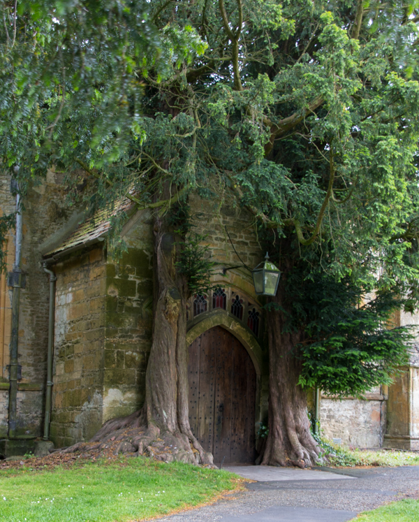 puerta de St. Edward's Church en Stow-on-the-Wold 1