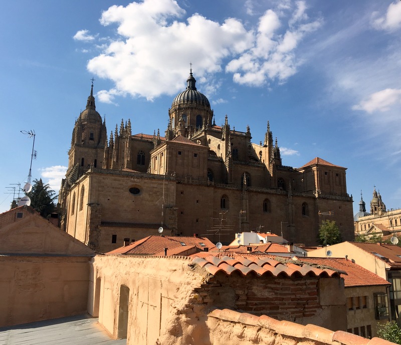 vista desde la Torre del Marqués de Villena en Salamanca 2