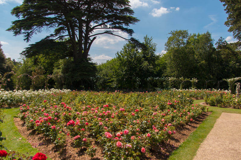 The Rose Garden en Blenheim Palace