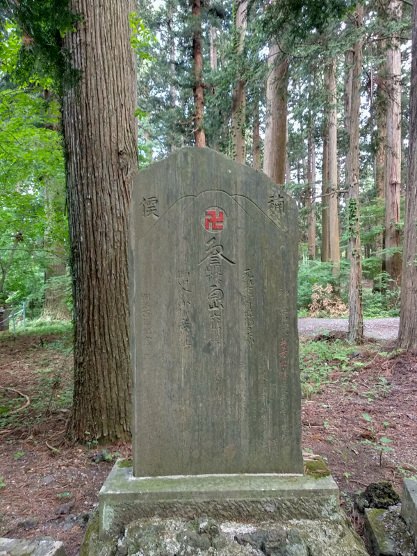 Bosque de Aokigahara 2
