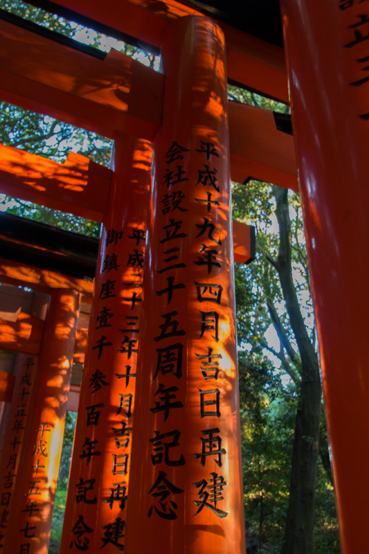 Fushimi Inari 2